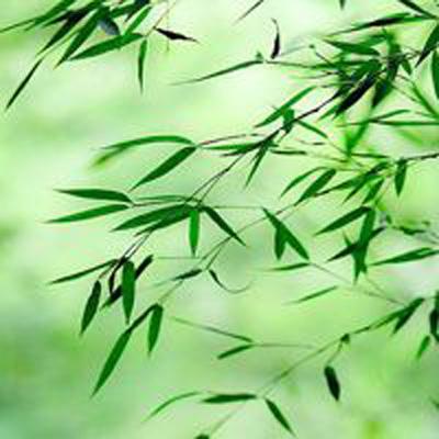 范冰冰魔范学院单机版下载